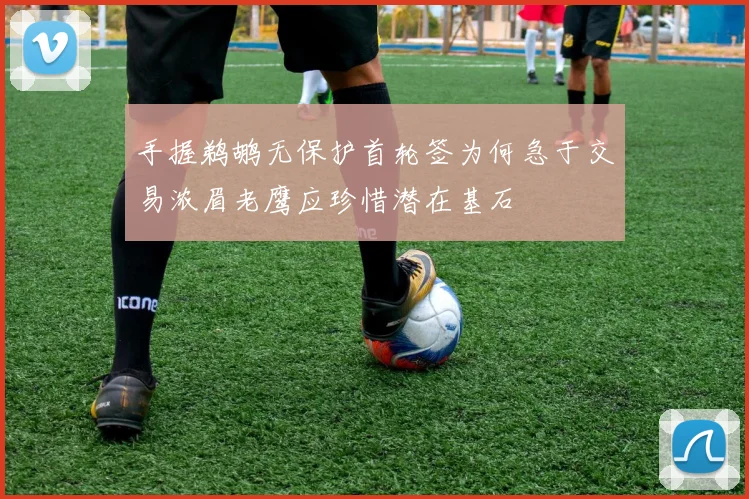 手握鹈鹕无保护首轮签为何急于交易浓眉老鹰应珍惜潜在基石