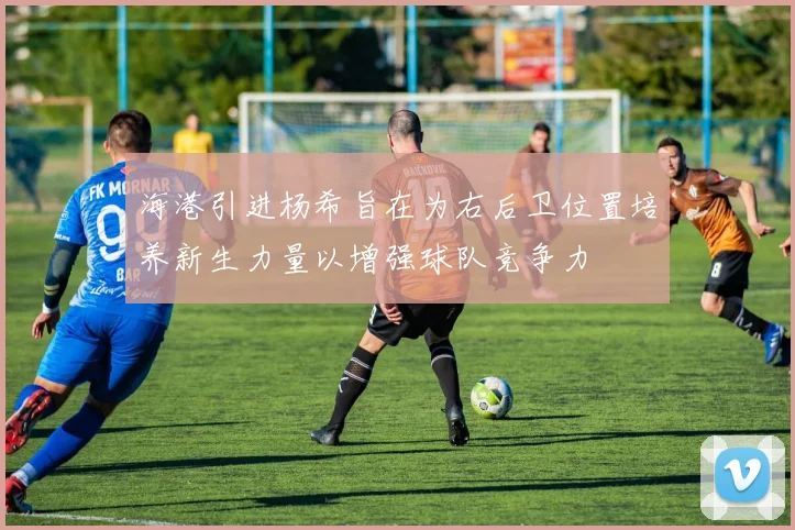 海港引进杨希旨在为右后卫位置培养新生力量以增强球队竞争力